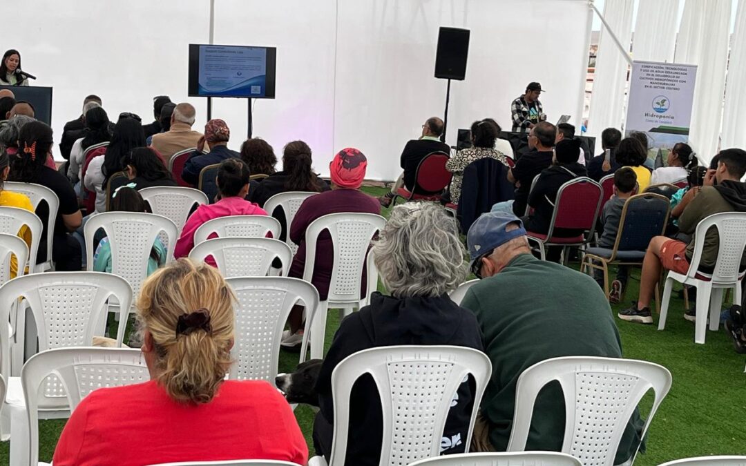 Revolución verde en el desierto: Cultivos hidropónicos con agua de mar llegan al borde costero de Tarapac