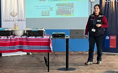 Programa de Bien Público, apoyado por Corfo con recursos FNDR, beneficiará a caletas de la región