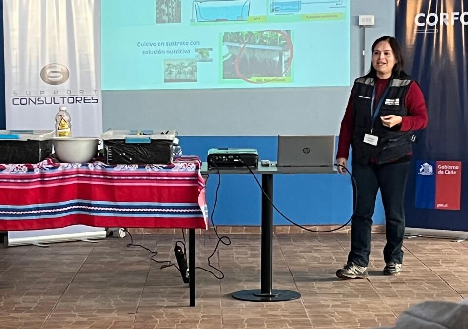 Programa de Bien Público, apoyado por Corfo con recursos FNDR, beneficiará a caletas de la región